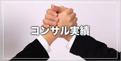 コンサル実績